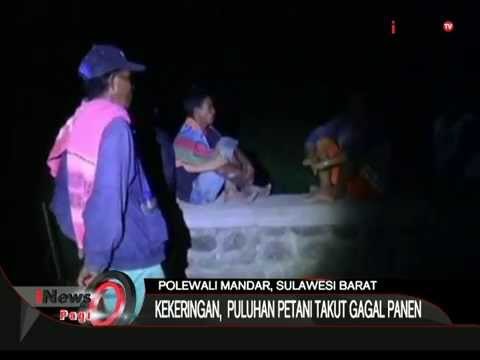 Kekeringan, Puluhan Petani Takut Gagal Panen - iNews Pagi 06/08