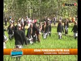 Cing Cing Goling Tradisi Menyuburkan Padi Dengan Diinjak-injak, Gunung Kidul Wajah Indonesia 05/08