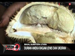 MANTAP!!! Nikmatnya Pesta Durian - iNews Petang 06/08