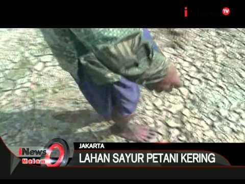 Kekeringan Berkepanjangan Membuat Lahan Sayur Petani Kering - iNews Malam 07/08