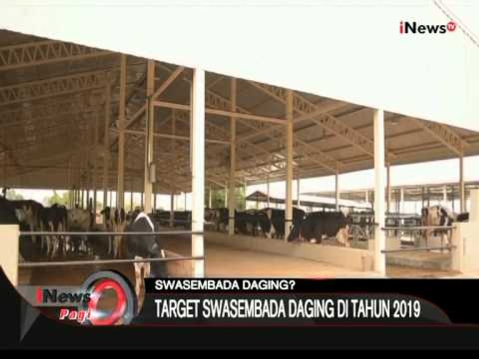 Swasembada Daging Ditargetkan 2019 - iNews Pagi 10/08