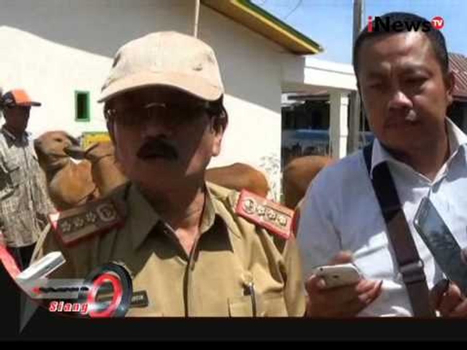 Atasi Gagal Panen, Petani Diharapkan Beralih Ke Peternak, Jeneponto - iNews Siang 10/08