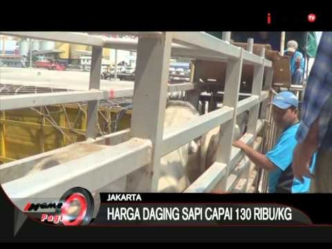 Sapi Impor Dari Australia Tiba Di Pelabuhan Tanjung Priuk - iNews Pagi 11/08