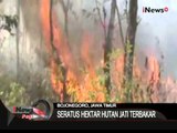 Kebakaran Hutan Jati Di Bojonegoro, Jatim - iNews Pagi 11/08