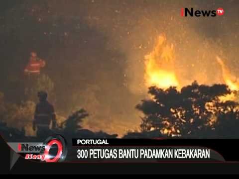 300 Petugas Bantu Padamkan Kebakaran - iNews Siang 11/08