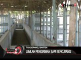 Politik Daging Sapi, Pemasok Sapi Alami Kesulitan Stok - iNews Petang 11/08