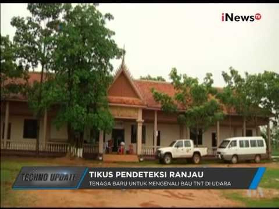 Tikus Pendeteksi Ranjau Darat - Techno Update 12/08
