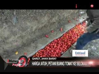 Kejadian Aneh! Tomat Banjiri Selokan Kampung Cimanuk, Garut - iNews Pagi 13/08