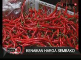 Harga Cabai Rawit Merah Naik Hingga 100 Persen - iNews Pagi 17/08