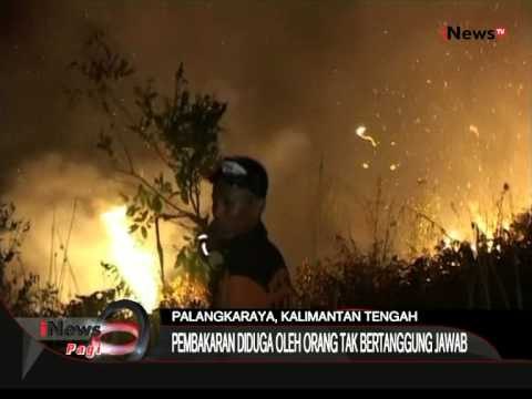 Kebakaran Diduga Oleh Orang Yang Tidak Bertanggung Jawab, Palangkaraya, Kalteng - iNews Pagi 19/08