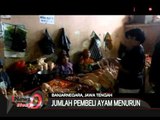 Jumlah Pembeli Ayam Turun Rata-Rata 30% Perhari, Banjarnegara, Jateng - iNews Siang 19/08