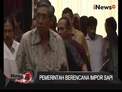 Pemerintah Berencana Impor 300 Ribu Sapi - iNews Pagi 19/08