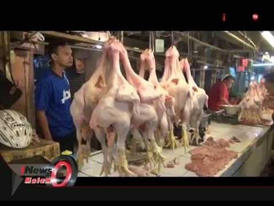 Pemerintah Menjamin Harga Daging Ayam Normal Pekan Depan - iNews Malam 19/08
