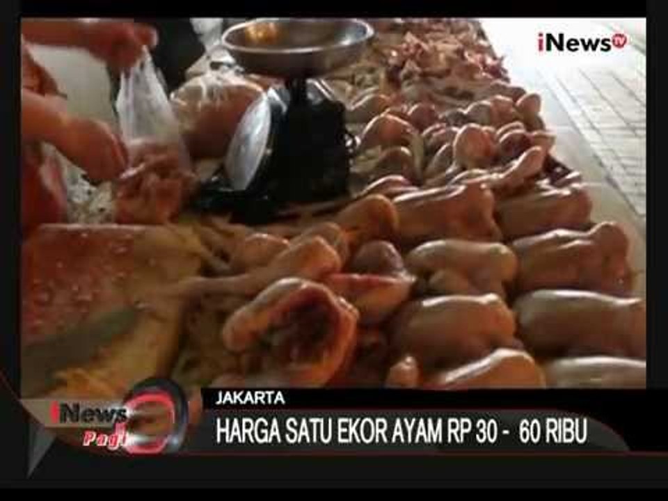 Harga Satu Ekor Ayam Rp. 30-60 Ribu - iNews Pagi 20/08