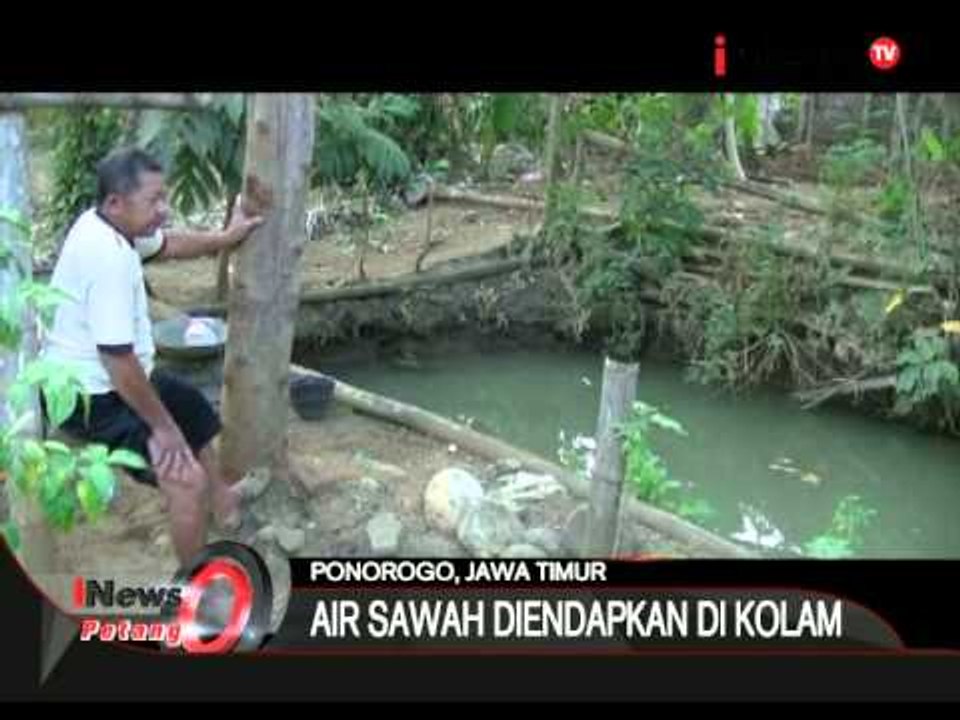 Indonesia Darurat Kekeringan, Warga Gunakan Air Sawah - iNews Petang 19/08