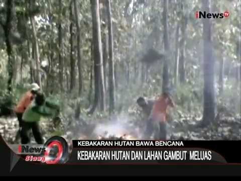Eksploitasi Hutan Dengan Cara Pembakaran, Kabut Asap Tidak Terkendali - iNews Siang 03/09