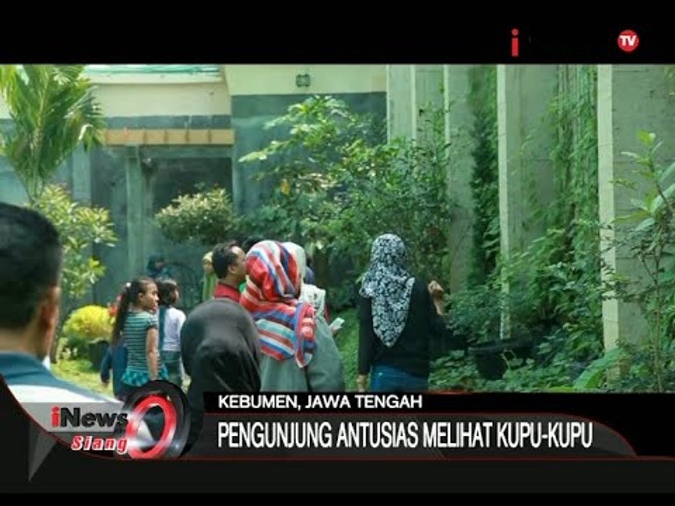 Antusias Pengunjung Di Taman Kupu Kupu, Kebumen Jawa Tengah - iNews Siang 03/09