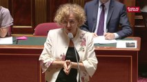 Muriel Pénicaud présente l'amendement du gouvernement sur l'assurance chômage