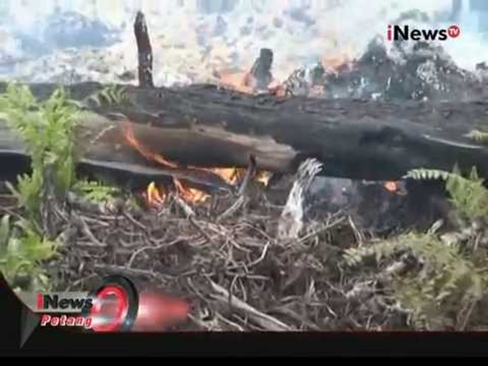 Indonesia Darurat Kabut Asap, Dampak Kabut Asap Di Beberapa Daerah - iNews Petang 07/09