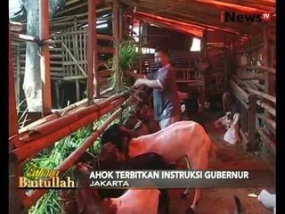 Ahok Melarang Penjualan Dan Pemotongan Hewan Kurban Dipinggir Jalan - iNews Malam 08/09