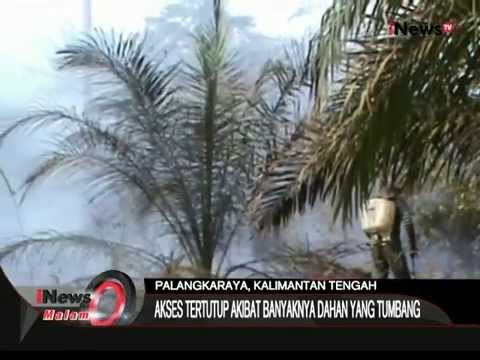 15 Hektar Lahan Sawit Di Jalur Trans Kalimantan-Palangkaraya, Ludes Terbakar - iNews Malam 16/09