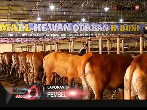 Live Report: Mall Hewan Qurban H.Doni - iNews Siang 21/09