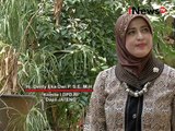 Yuk !!! Mengenal Sosok Anggota DPD-RI Asal Jawa Tengah - iNews Pagi 23/09
