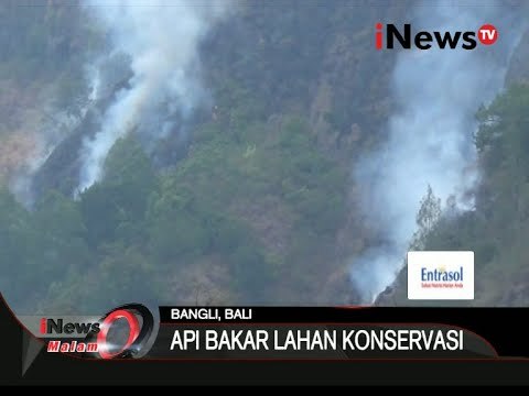 Hutan Konservasi Kebakaran Diduga Kelalaian Warga - iNews Malam 04/10