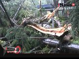 Hujan Badai Melanda Bandung Akibatkan Pohon Tumbang Menimpa Dua Mobil - iNews Malam 07/10