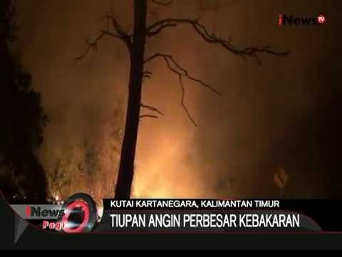 Belasan Hektare Hutan Raya Terbakar Di Kutai Kartanegara - iNews Pagi 19/10