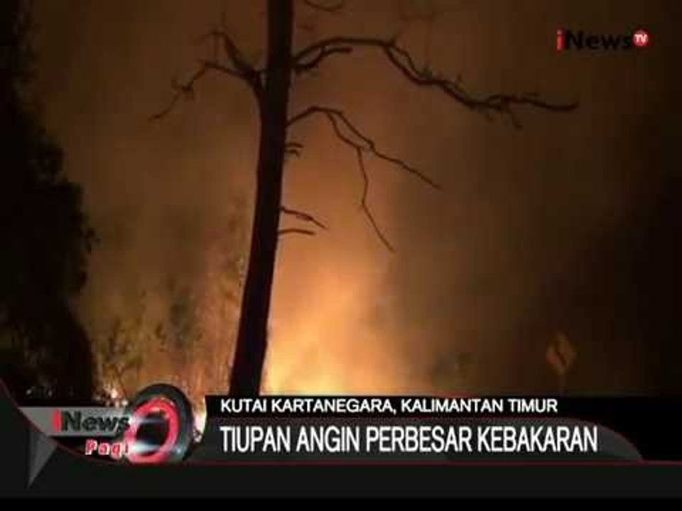 Belasan Hektare Hutan Raya Terbakar Di Kutai Kartanegara - iNews Pagi 19/10