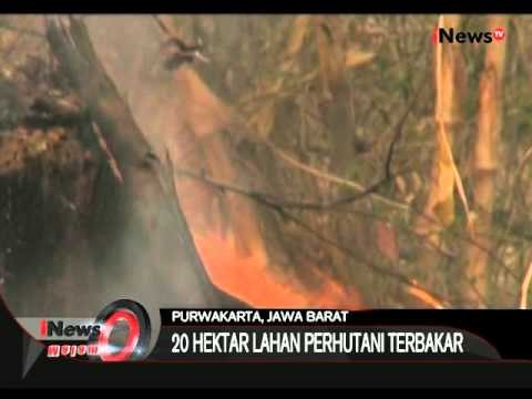 Puluhan Hektar Lahan Di Perhutani Terbakar Di Purwakarta - iNews Malam 22/10