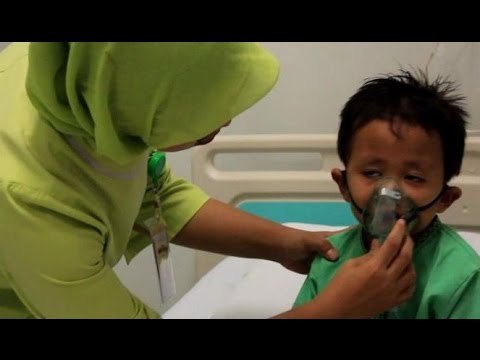 1.249 Balita Menderita Ispa - iNews Petang 29/10