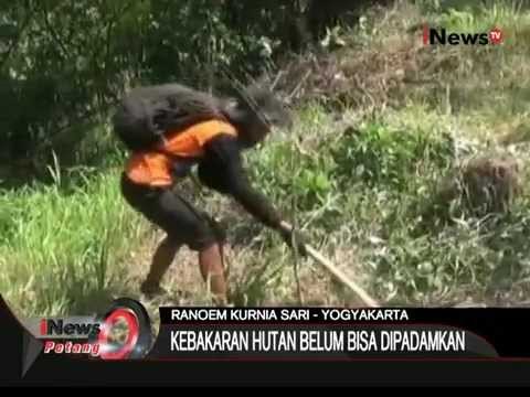 Live Report : Terkait Kondisi Terakhir Kebakaran Hutan Di Gunung Merapi - iNews Petang 03/11