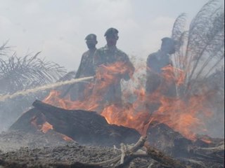 Live Report: Kebakaran Hutan Merapi Sulit Di Padamkan - iNews Siang 03/11