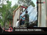 Angin Ribut, 10 Rumah Tertimpa Pohon - iNews Siang 09/11
