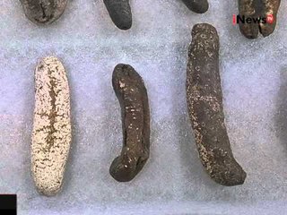 Jendela Australia, Sejumlah Perahu Layar Indonesia Dipajang Di Museum Darwin - iNews Siang 12/11