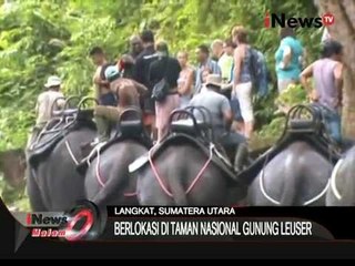Inilah Keindahan Panorama Alam Objek Wisata Tangkahan- iNews Malam 15/11