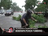 Hujan Deras Dan Angin Kencang Sebabkan Pohon Tumbang Di Palangkaraya - iNews Pagi 20/11