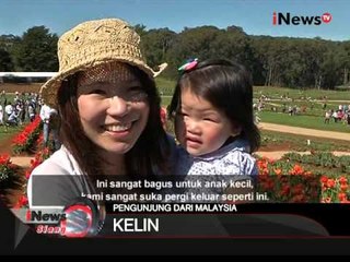 Jendela Australia, Festival Bunga Tulip Di Victoria - iNews Siang 23/11