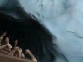 4-Floride Animal Kingdom Expedition Everest