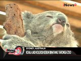 Jendela Australia, Nikmatnya Wisata Di Kebun Binatang Taronga Zoo Di Sydney - iNews Siang 30/11