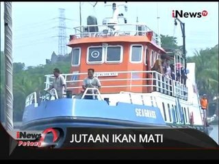 Jutaan Ikan Mati, Tim Gabungan Lakukan Uji Sampel - iNews Petang 01/12