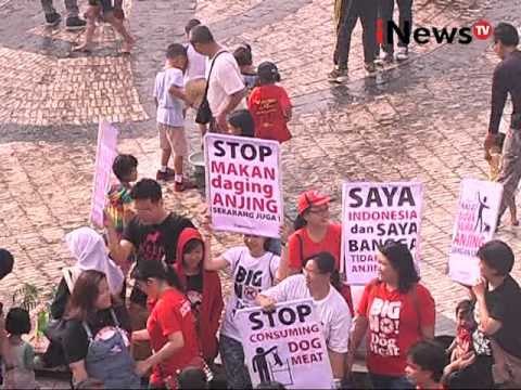 Ratusan Orang Kampanye Stop Makan Daging Anjing - iNews Malam 13/12