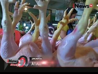 Download Video: Waspada Ayam Tiren, Penjual Dan Pembeli Resah - iNews Siang 15/12