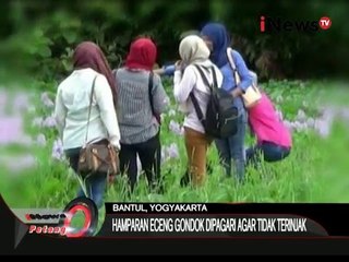 UNIK!!! Eceng Gondok Tempat Berselfie - iNews Petang 17/12