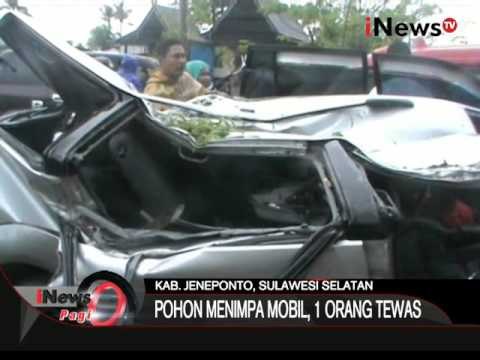 Mobil Tertimpa Pohon Tumbang, Sopir Tewas Dan 2 Penumpang Kritis - iNews Pagi 22/12