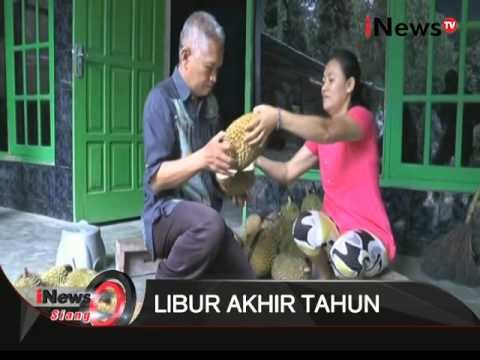 Anda Pecinta Durian ? Desa Di Magelang Menjadi Salah Satu Surga Penikmat Durian - iNews Siang 24/12