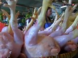 Daging Busuk Dan Ayam Tiren Ditemukan Disejumlah Pasar Dan Supermarket - - iNews Siang 25/12