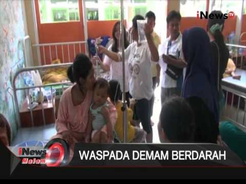 Jumlah Pasien Demam Berdarah Di RSUD Indramayu Terus Meningkat Sejak Musim Hujan- iNews Malam 29/12